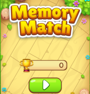 Memory Match