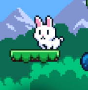 Poor Bunny